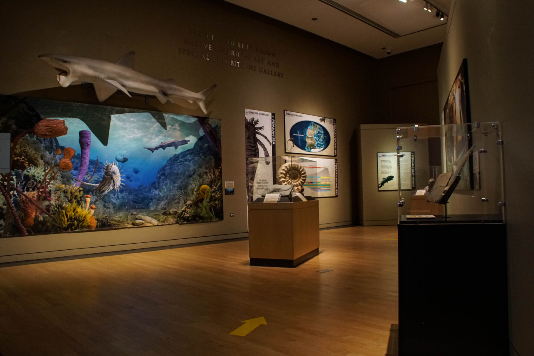 Permian exhibit
